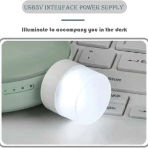 Mini USB LED Night Light – Flexible & Portable Plug-in Lamp for Car, Indoor & Outdoor Use